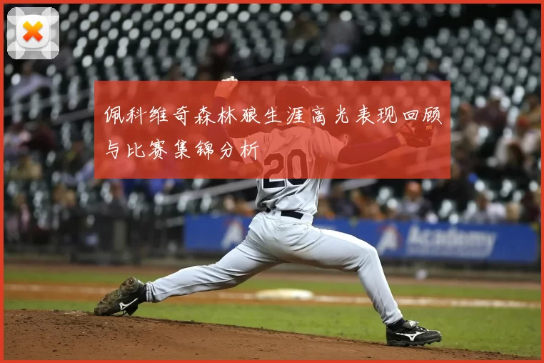 佩科维奇森林狼生涯高光表现回顾与比赛集锦分析