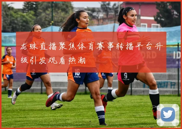 龙珠直播聚焦体育赛事转播平台升级引发观看热潮
