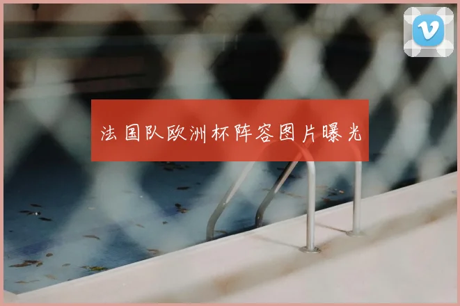 法国队欧洲杯阵容图片曝光