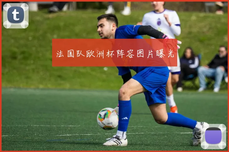法国队欧洲杯阵容图片曝光