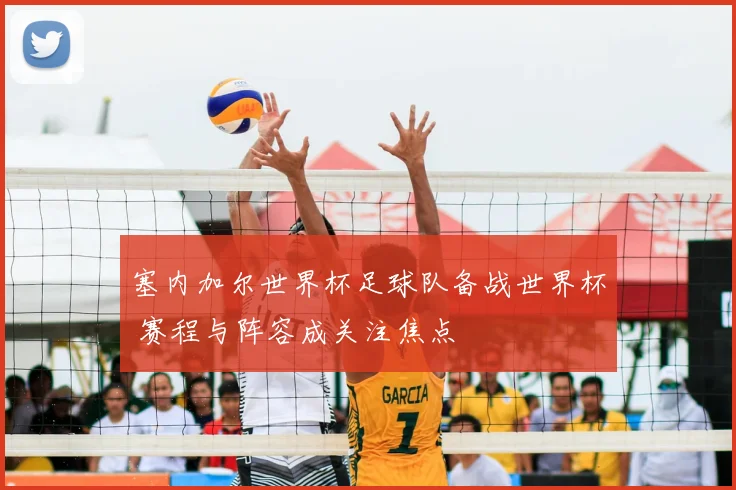 塞内加尔世界杯足球队备战世界杯 赛程与阵容成关注焦点