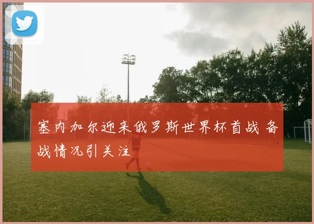 塞内加尔迎来俄罗斯世界杯首战 备战情况引关注