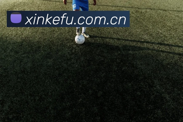 奖项证书